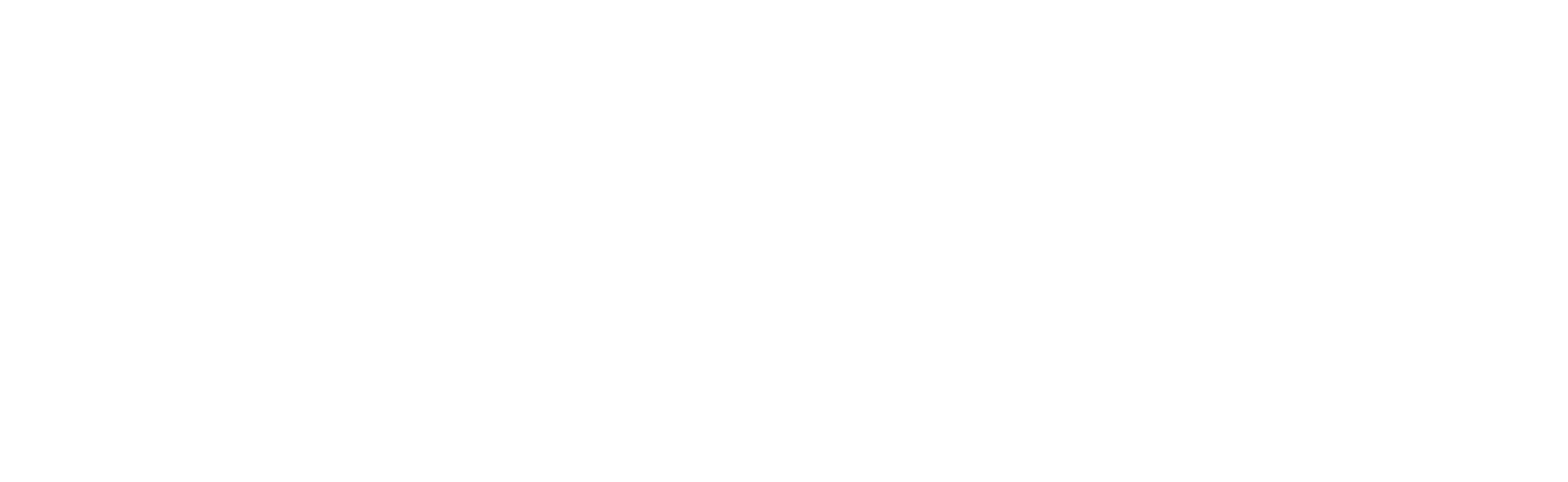 CFGI Logo_white (1)-1
