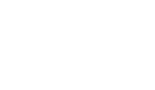 logo, pas financial advisory, white